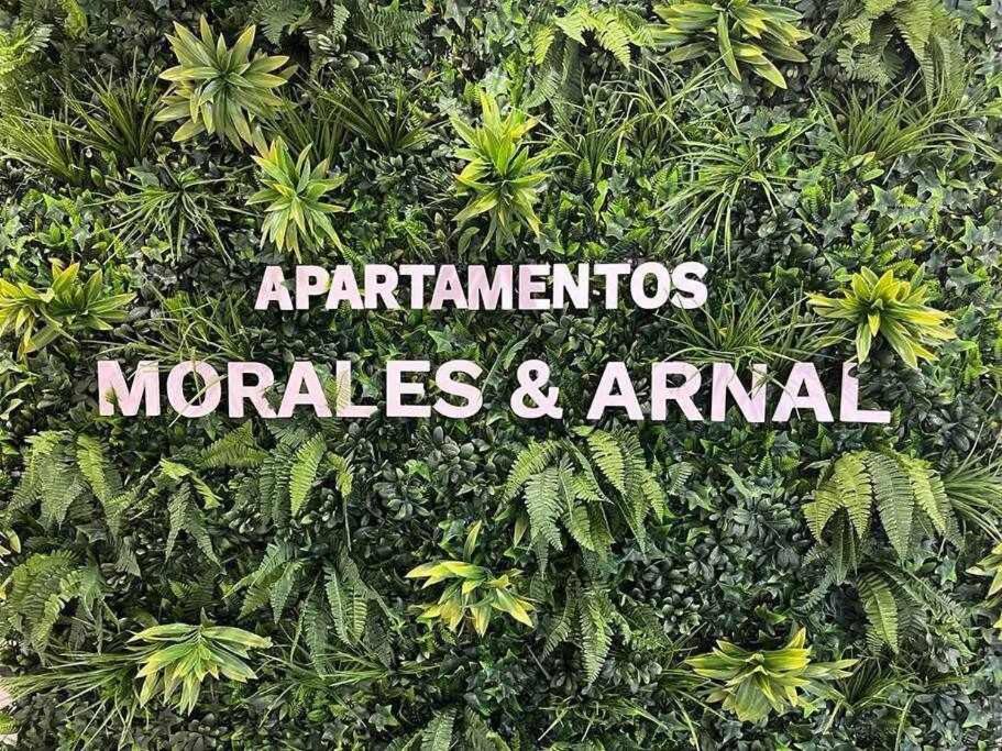 XXI E Apartamentos Morales & Arnal Ronda Exteriör bild